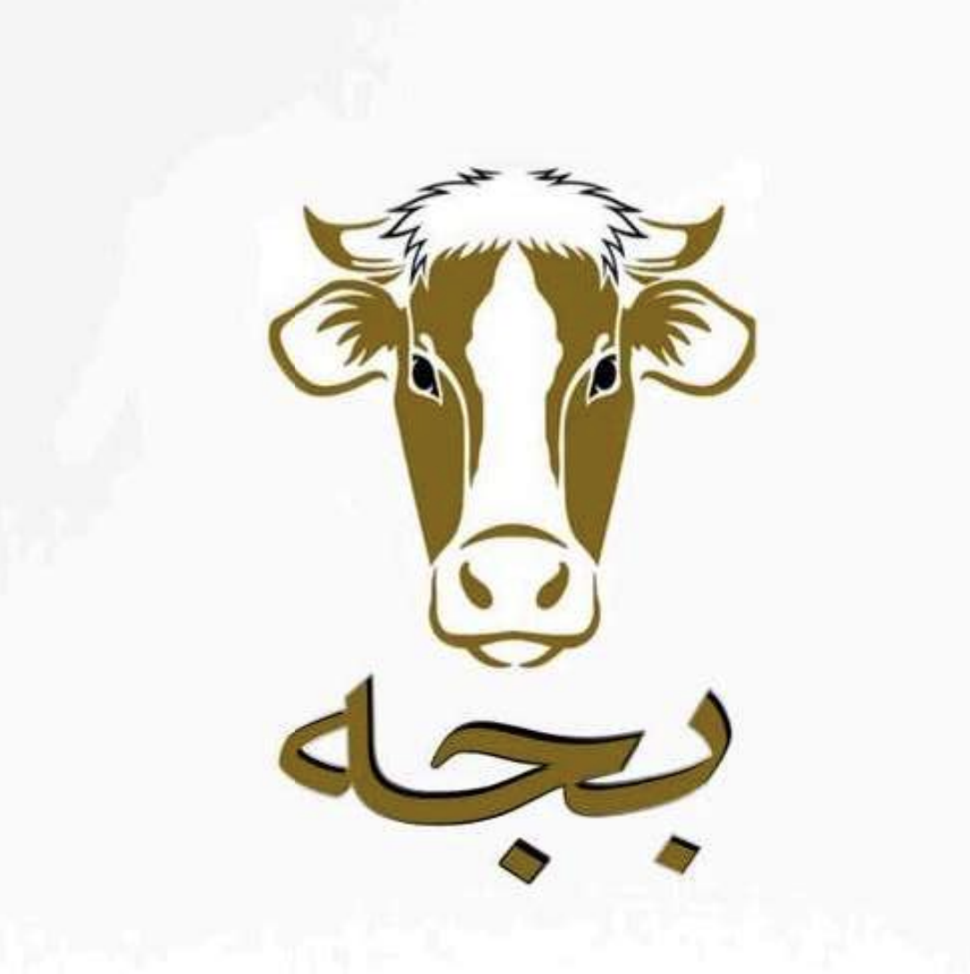 بجه